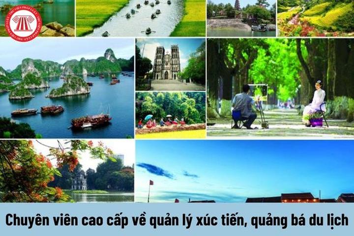 Hotspot Matrix: Biến Học sinh chuyên Toán đi bán thành cơ hội marketing đột phá