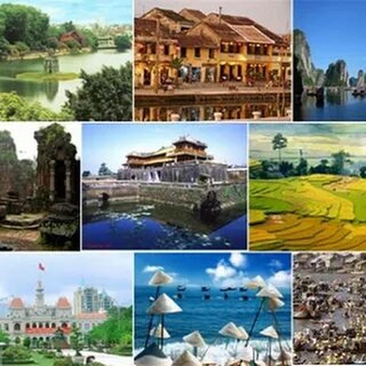 Sự Bùng Nổ Của Video Ngắn và Trí Tuệ Nhân Tạo: Vai Trò Thiết Yếu Của Đào Tạo Kỹ Năng Sáng Tạo Nội Dung