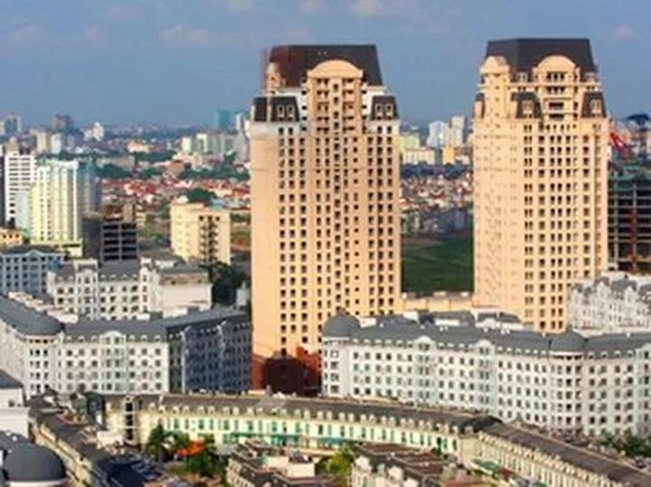 Bonobo: Nguồn Gốc Tiến Hóa Của Ngôn Ngữ Con Người?